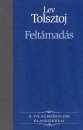 Lev Nikolajevics Tolsztoj - Felt�mad�s