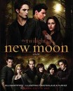 Mark Cotta Vaz - New Moon: Kulisszatitkok