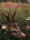 Bornemisza P�ter - Var�zslatos vad�szatok