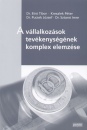 Dr. B�r� Tibor - Kresalek P�ter - Dr. Pucsek J�zsef - Dr. Sztan� Imre - A v�llalkoz�sok tev�kenys�g�nek komplex elemz�se