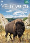  - Yellowstone