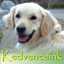 Fekete Annam�ria - Kedvenceink