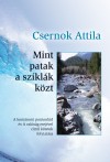 Csernok Attila - Mint patak a szikl�k k�zt