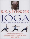 B. K. S. Iyengar - J�ga