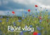 Gomb�s Gabriella(Szerk.) - Elt�nt vil�g