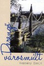 Kopp�ny Zsolt - Dereng� v�rosm�lt