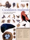 Roger Lederer - Csod�latos madarak