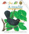 Claude(�ssze�ll.) Delafosse - Ren�(�ssze�ll.) Mettler - A mad�r