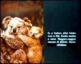  - �llatok �s kicsinyeik