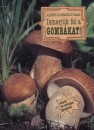 Albert L�szl� - Locsm�ndi Csaba - Vasas Gizella - Ismerj�k fel a gomb�kat! 1.