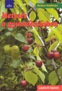 Heidrun Holzf�rster - Metsz�s a gy�m�lcs�sben