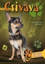  - Csivava
