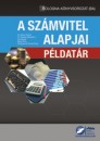 Baricz Rezs� - Dr. Gyenge Magdolna - Jo� �gnes - Martin K�ra - Reizingern� Ducsai Anita - A sz�mvitel alapjai - P�ldat�r