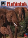 Ulrich Sedlag - Elef�ntok