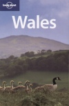 David Atkinson - Neil Wilson - Wales