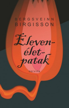 Birgisson Bergsveinn - Bergsveinn Birgisson - Elevenlet-patak