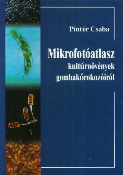 Pintr Csaba - Mikrofotatlasz kultrnvnyek gombakrokozirl