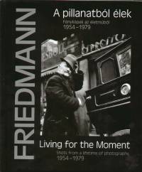 Friedmann Endre - A pillanatbl lek