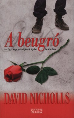 David Nicholls - A beugr