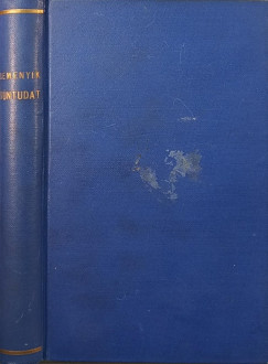 Remenyik Zsigmond - Bűntudat