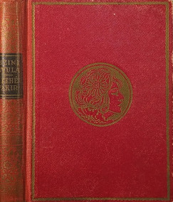 Szini Gyula - A fehér fakir