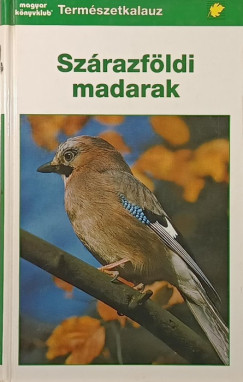 Sz�razf�ldi madarak