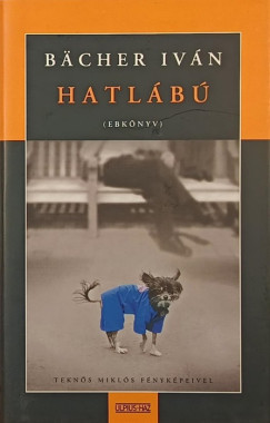 Bächer Iván - Hatlábú (ebkönyv)
