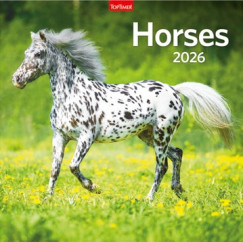 Horses - Lemeznaptr - 58x29 cm - 2026