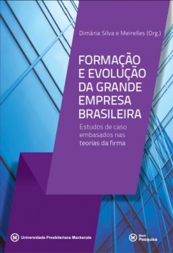 Dimária Silva E Meirelles - Formaçao e evoluçao da grande empresa brasileira