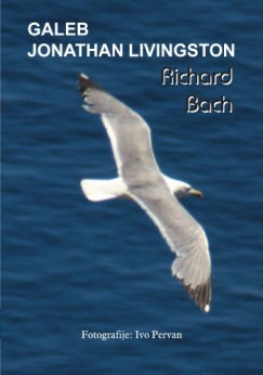 Diana Pavi�i�-Hani� Richard Bach - Galeb Jonathan Livingston