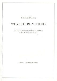 Fűzfa Balázs - Why is it beautiful?
