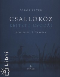 Fodor Pter - Csallkz rejtett csodi
