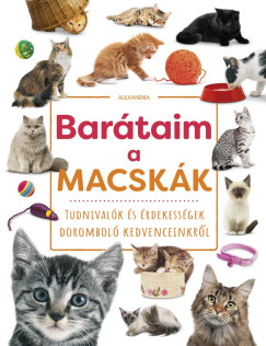 Bartaim, a macskk