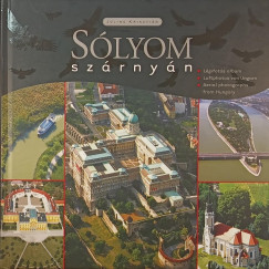 Jüling Krisztián - Sólyom szárnyán