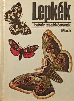 Kalmár Zoltán - Lepkék