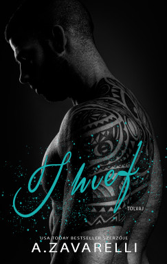 Thief - Tolvaj - Boston alvil�g V.