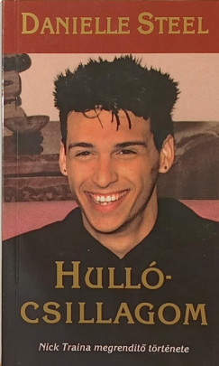 Danielle Steel - Hull�csillagom