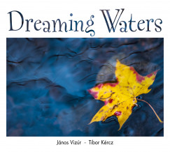 Krcz Tibor - Dr. Vizr Jnos - Dreaming Waters