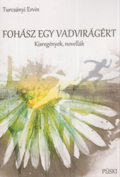 Turcs�nyi Ervin - Foh�sz egy vadvir�g�rt