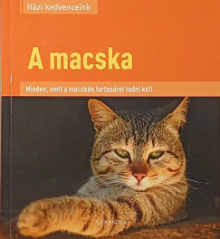 A macska