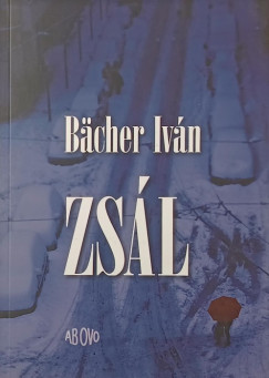 Bcher Ivn - Zsl