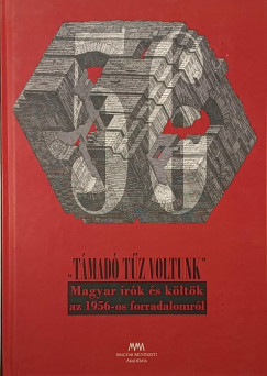 "Támadó tűz voltunk"