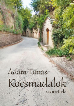 dm Tams - Kocsmadalok