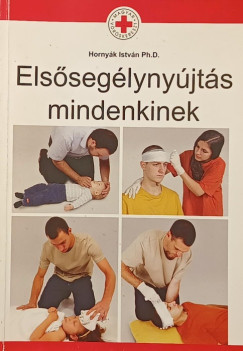 Hornyk Istvn - Elsseglynyjts mindenkinek