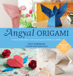 Nick Robinson - Angyal origami - Ajndk 15 v klnleges origami paprral
