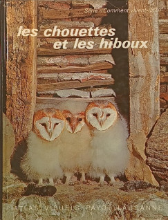 Les chouettes et les hiboux