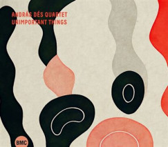 Dés András Quartet - Unimportant Things - CD