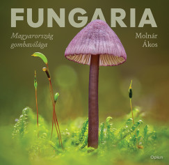 Moln�r �kos - Fungaria