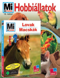 Heinz Sielmann - Hobbillatok + Lovak - Macskk (DVD)