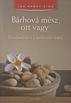 Jon Kabat-Zinn - Brhov msz, ott vagy